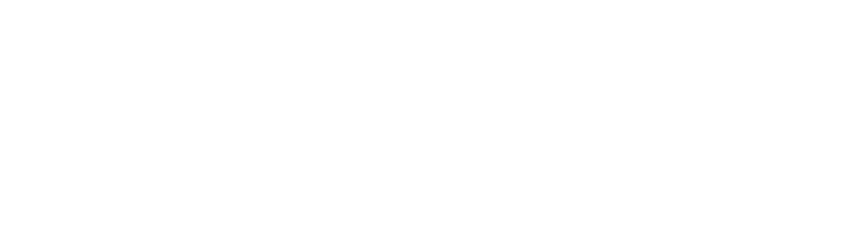 Hendricks Institute Logo horizontal@2x-8